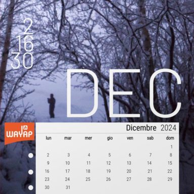 Calendario nazionale quattordicine affissione pubblicitaria 2024 dicembre