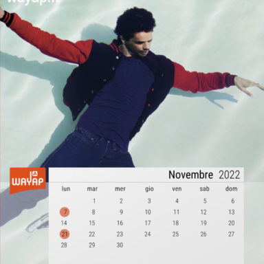 Calendario quattordicine affissione pubblicitaria novembre 2022
