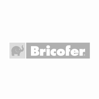 Logo Bricofer