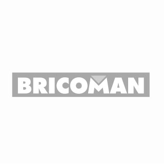 Logo Bricoman