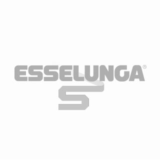 Logo Esselunga